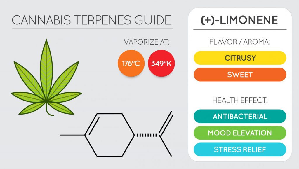 This image has an empty alt attribute; its file name is Cannabis-Terpene-Guide-Information-Chart.-Aroma-and-Flavor-with-Health-Benefits-and-Vaporize-Temperature.-Limonene-1-1024x580.jpeg