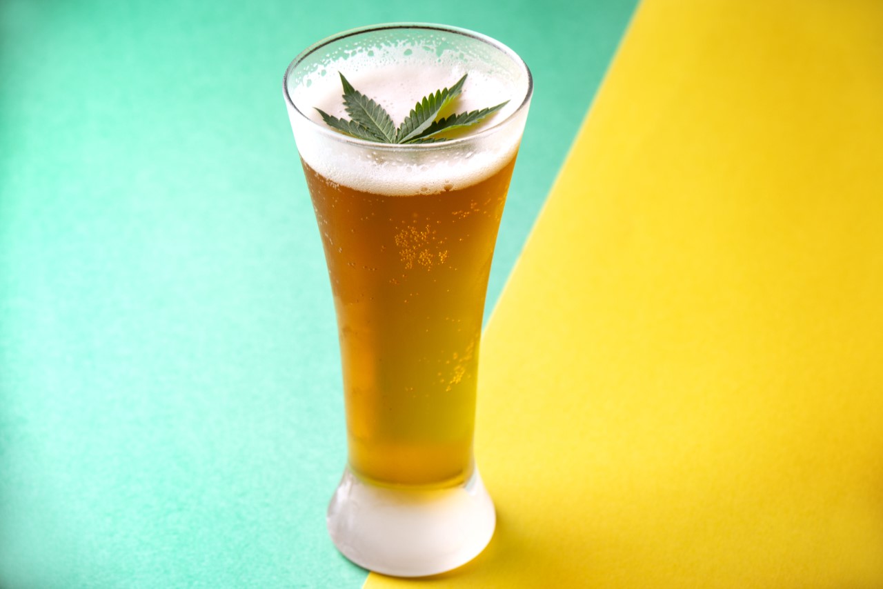 Cannabis Infused Drink - Beer with Cannabis leaf floating on top