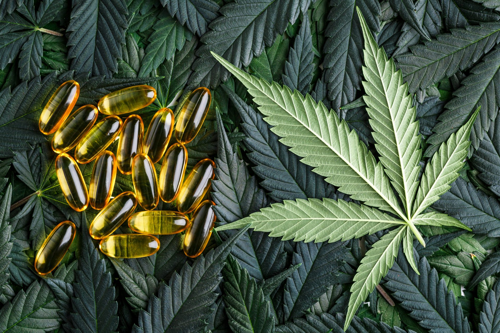 THC Capsules and Cannabis Leaf