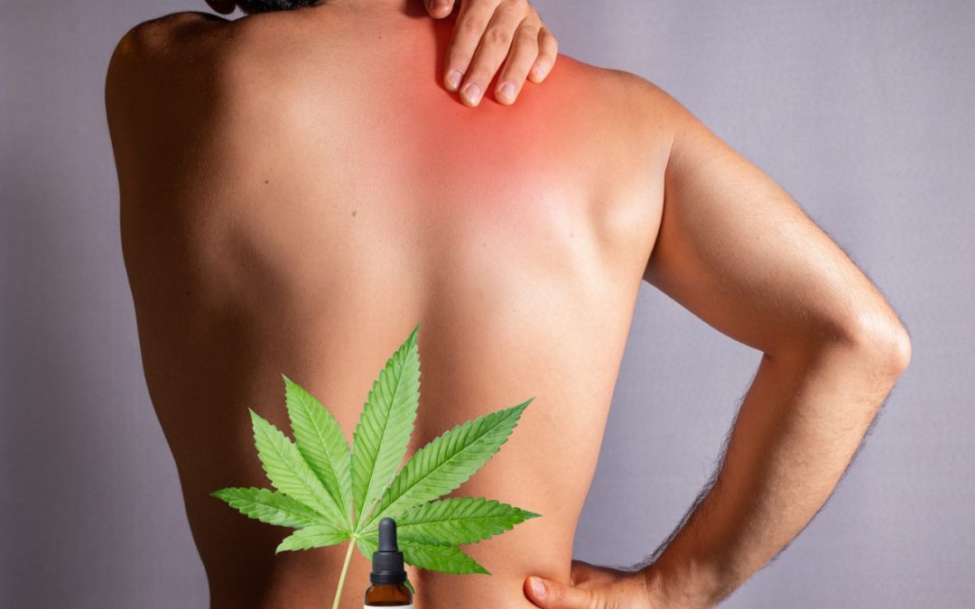Man without shirt rubbing red spot on shoulder with Cannabis leaf imposed.