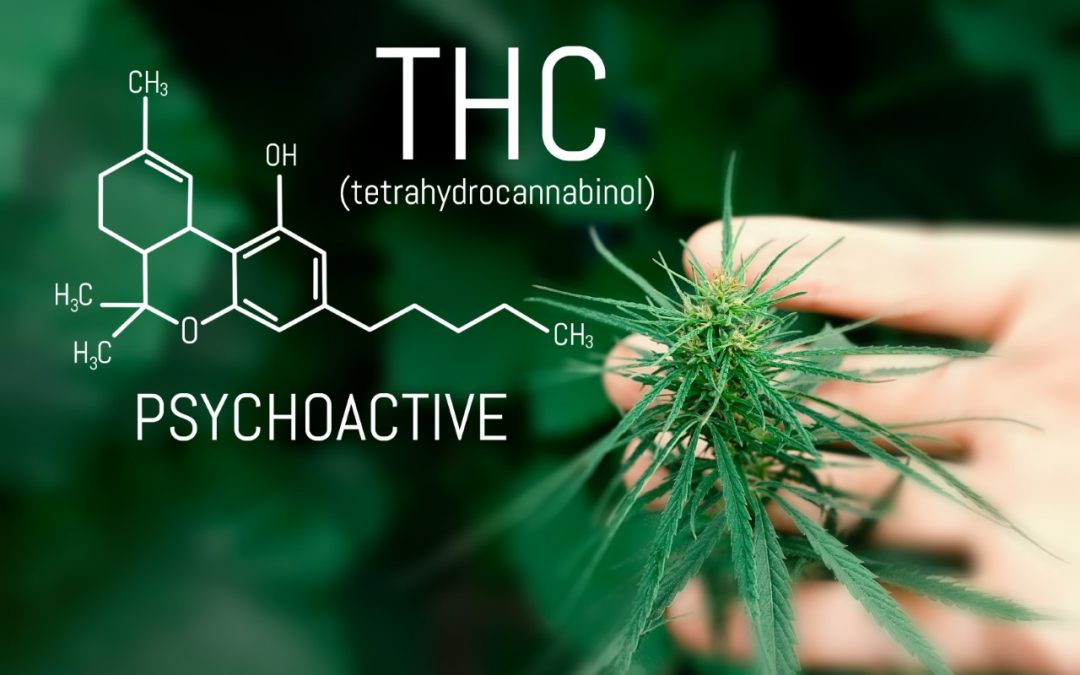 What makes THC psychoactive?