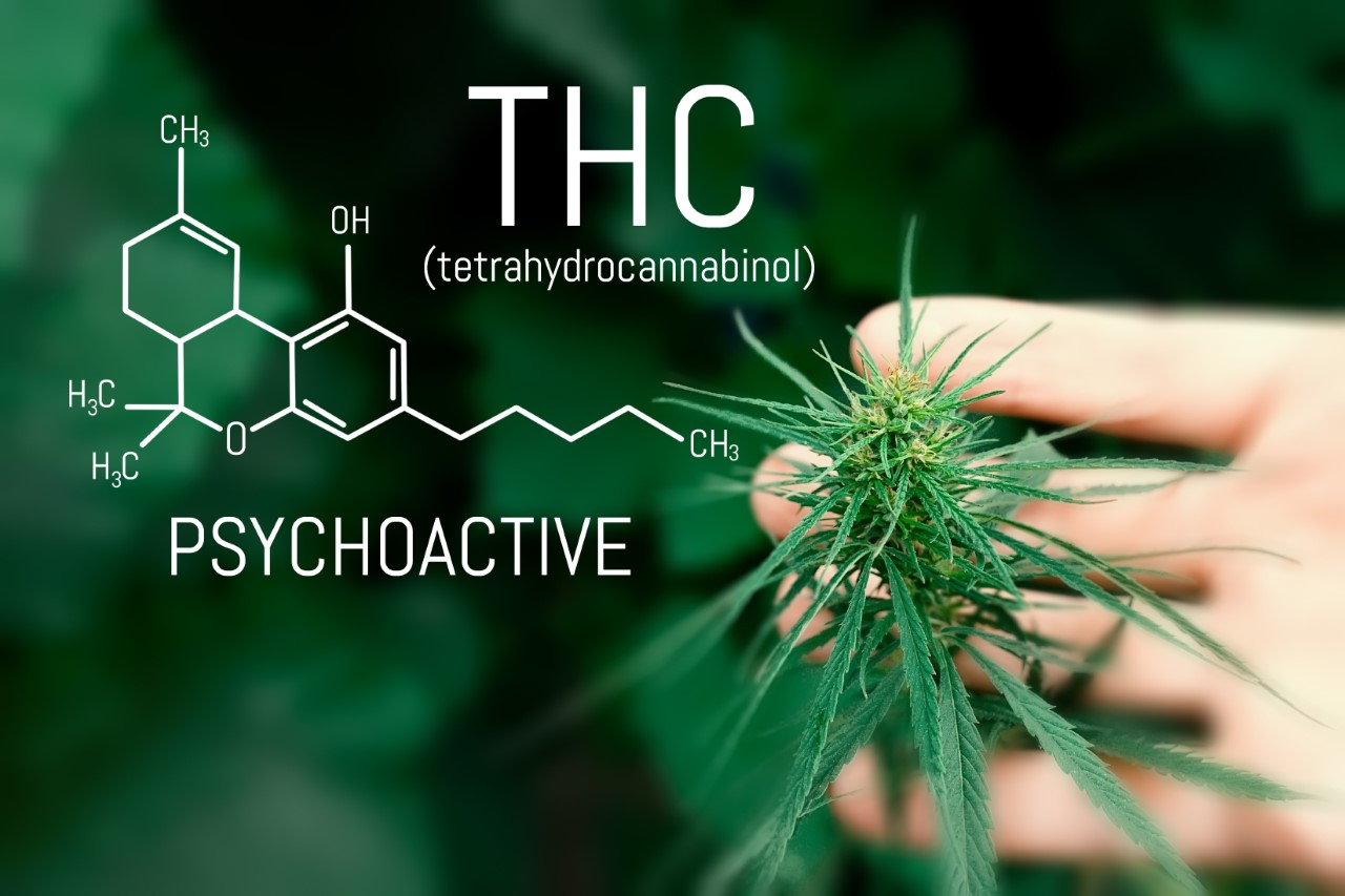 THC psychoactive banner with hand holding cannabis leaves